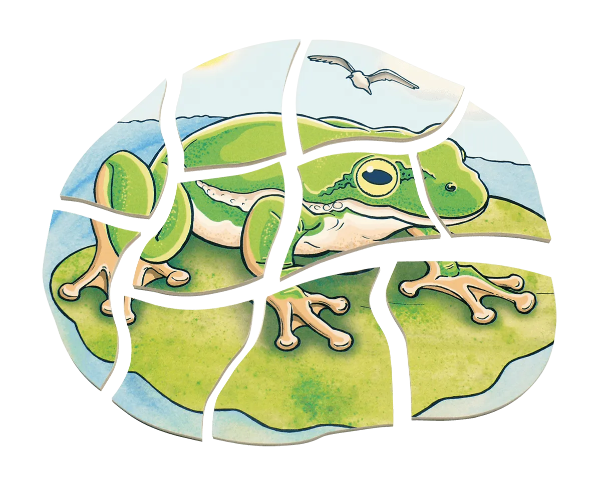 Beleduc Layer-Puzzle Frog 青蛙生長多層情景找找看拼圖