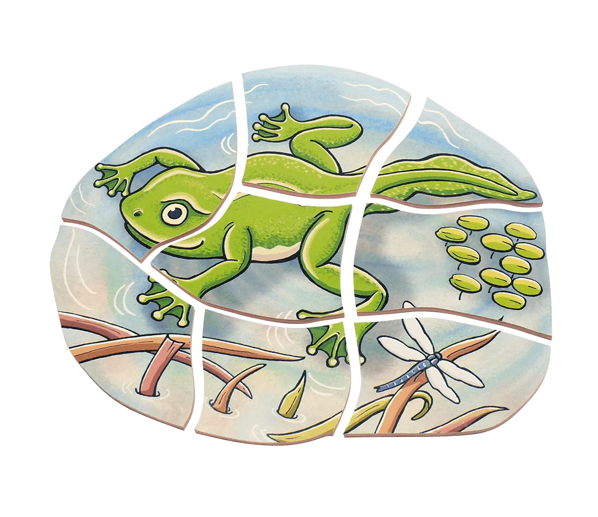 Beleduc Layer-Puzzle Frog 青蛙生長多層情景找找看拼圖
