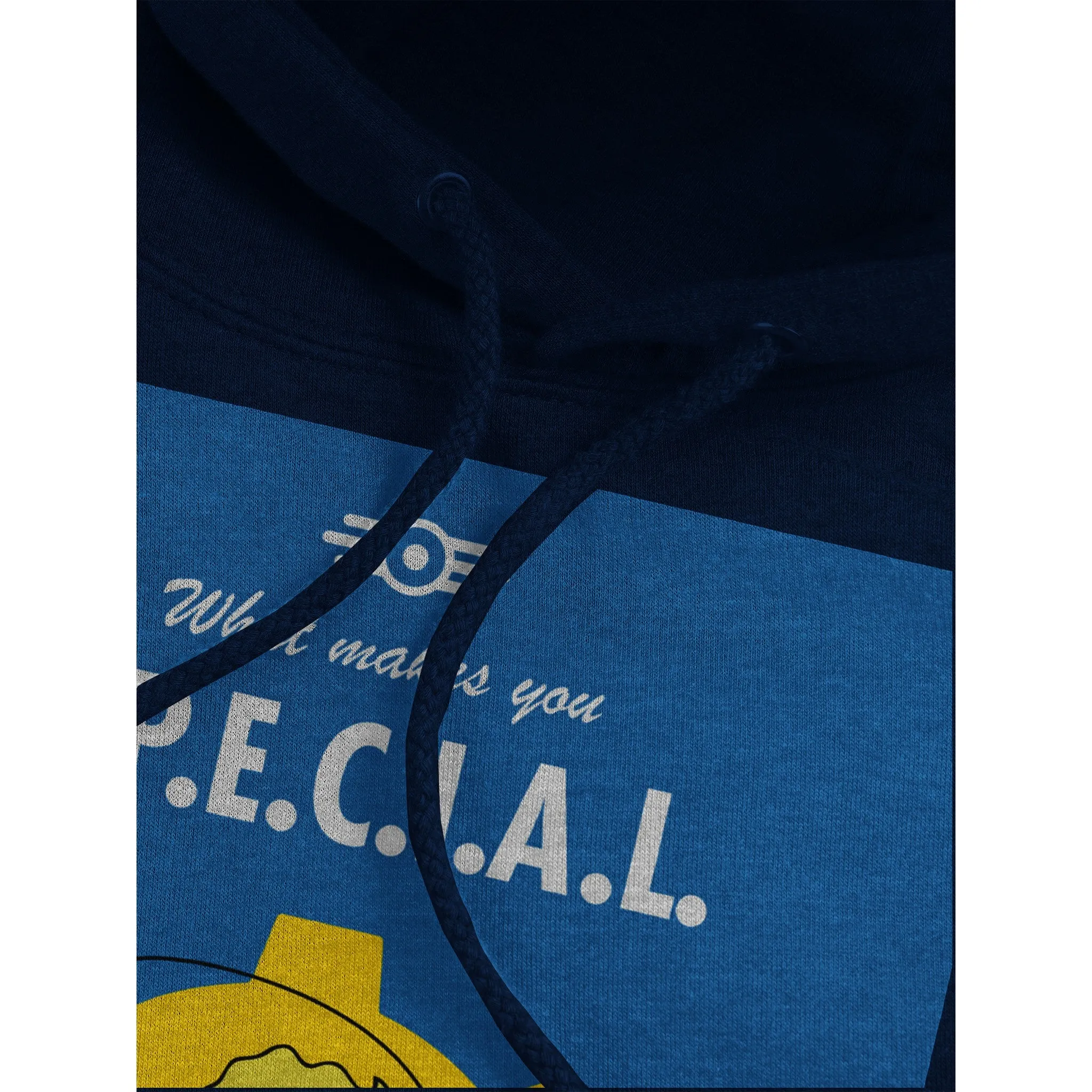 Fallout Hoodie - What Makes You S.P.E.C.I.A.L. Endurance Artwork - Premium Unisex Pullover Hoodie