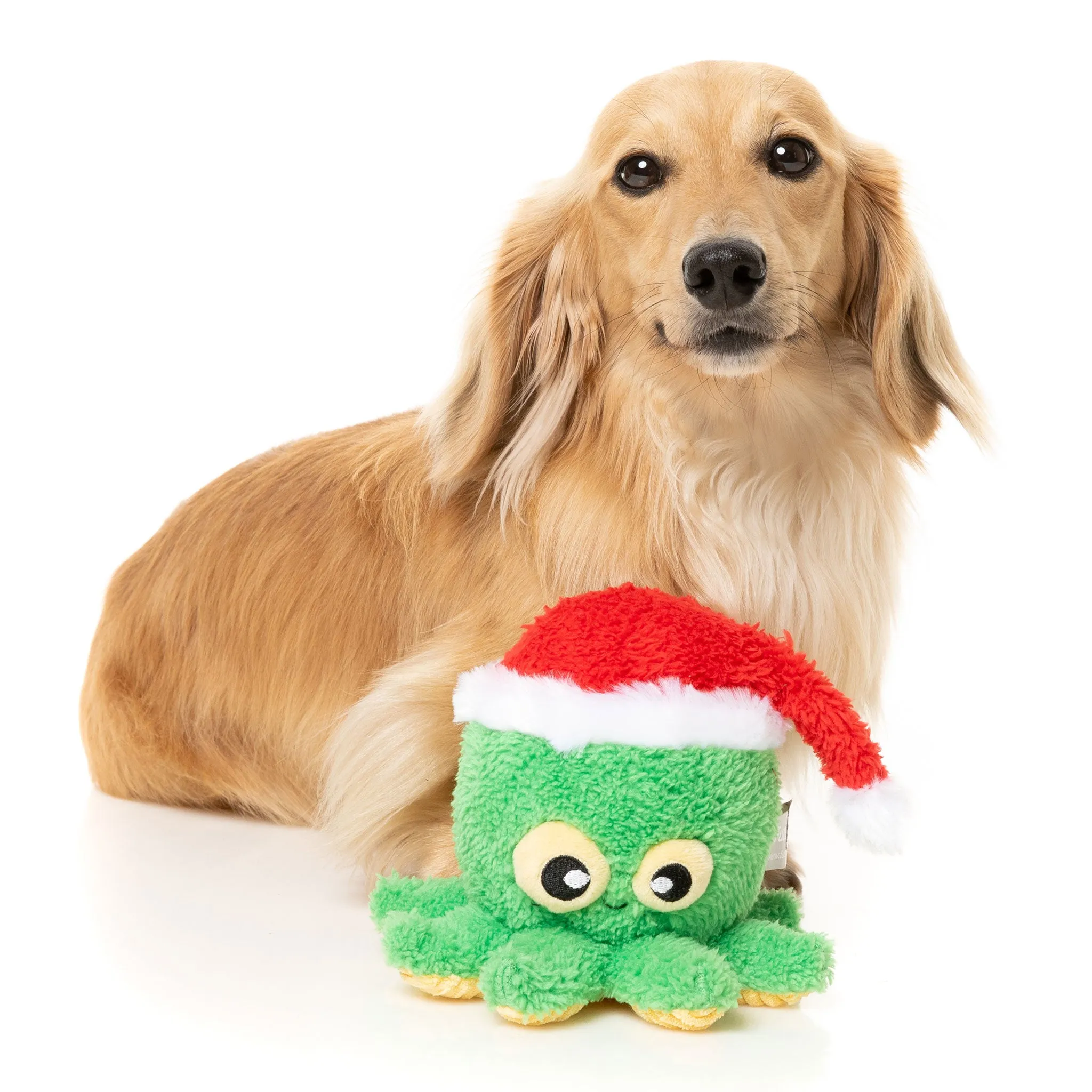 Fuzzyard Jolly Osmo Dog Toy